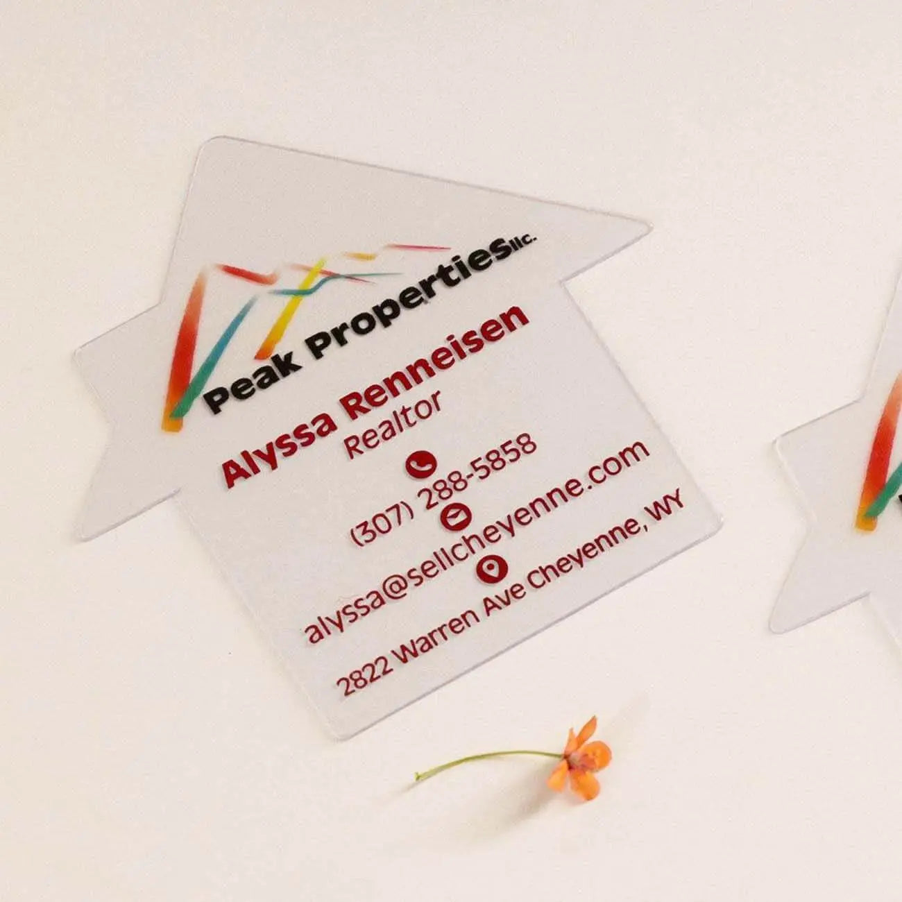 House Shaped Full color Frosted Plastic Business Cards