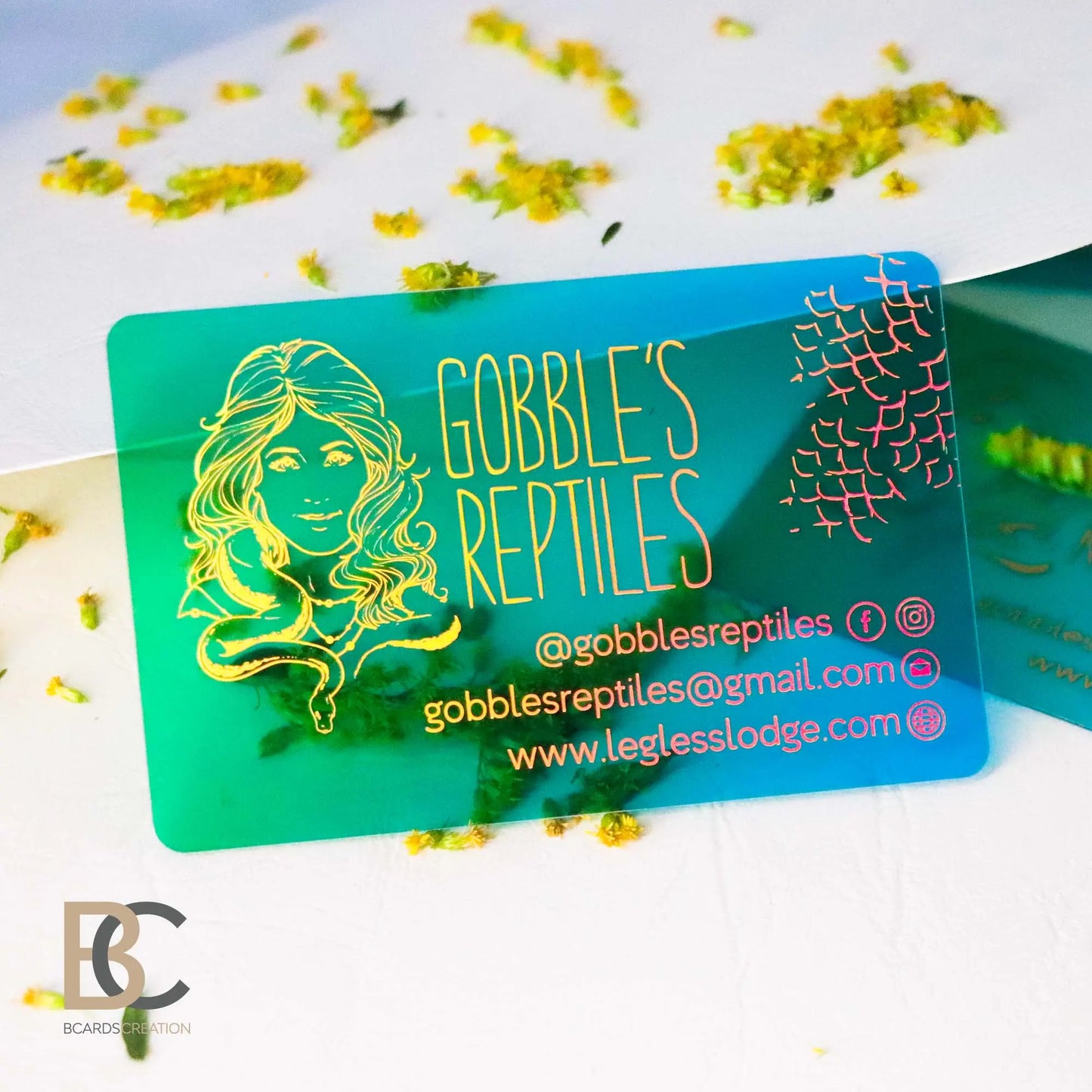 Waterproof Business Cards | Full color Clear Plastic Business Cards BcardsCreation
