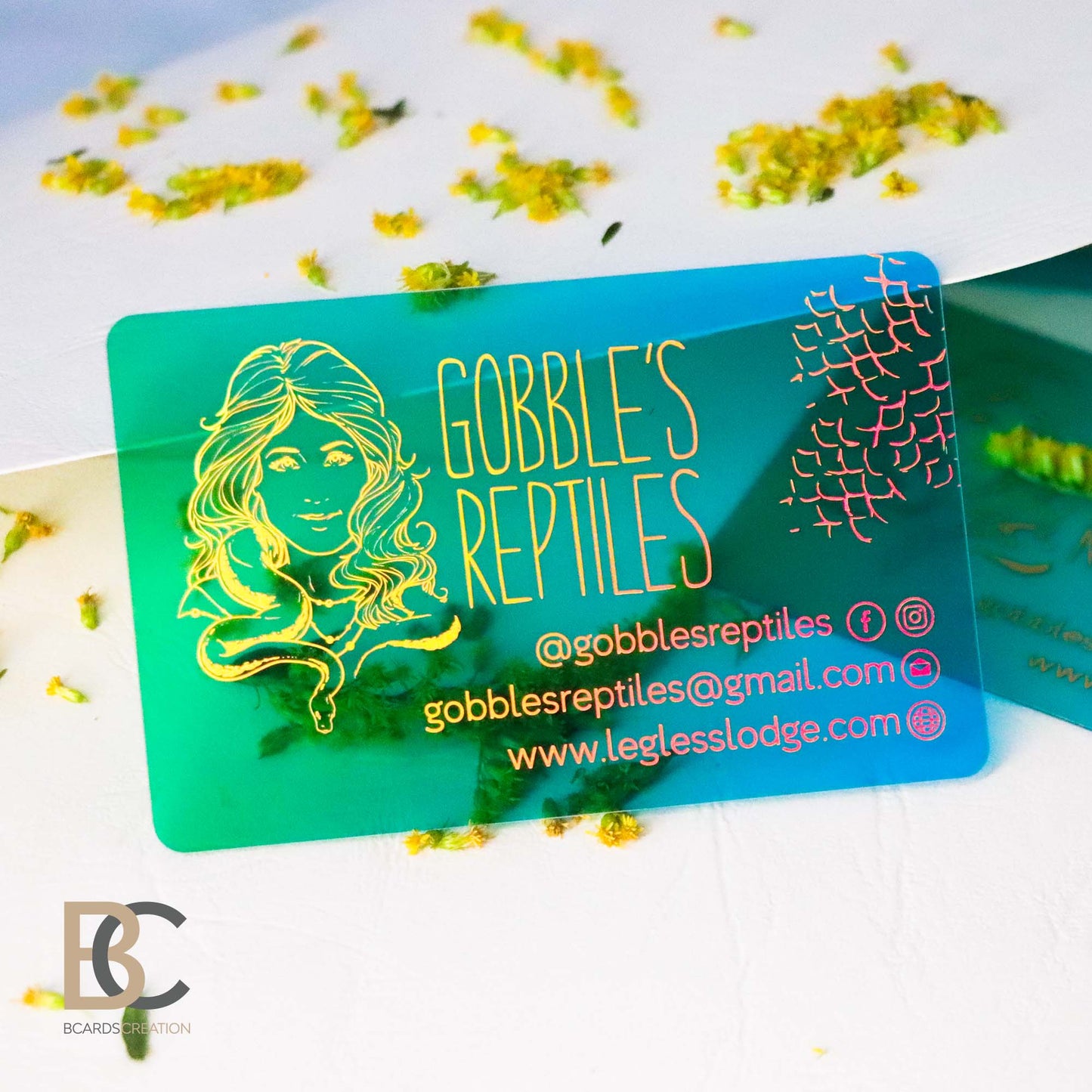 Waterproof Business Cards | Full color Clear Plastic Business Cards BcardsCreation